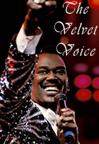 The Velvet Voice poster
